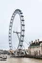 London Ferris Wheel and County Hall