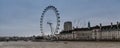 London Ferris Wheel and Theater