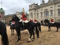 London guards horses