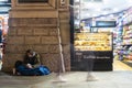 London 11/21/2019: Homeless asking for money with people in background that ignore him. The number of homeless on the streets is