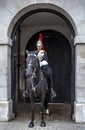 London horse guard