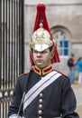 London horse guard