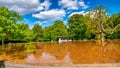 London Hyde Park in summer Royalty Free Stock Photo