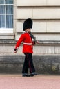 Queens Guard Buckingham Palace London Royalty Free Stock Photo