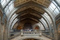 LONDON - JUNE 10 : People at the Top of a Staircase at the Natural History Museum in London on June 10, 2015. Unidentified people. Royalty Free Stock Photo