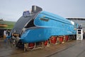 Mallard at the Great Goodbye Shildon