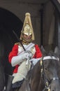 Household Cavalry Guard Whitehall London