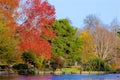 London parks in autumn, England Royalty Free Stock Photo