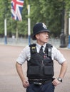 London policeman Royalty Free Stock Photo