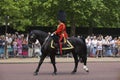 London Royal Guards