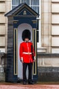 Queens Guard at Buckingham Palace