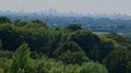 London Skyline against green trees. Royalty Free Stock Photo