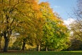 London, St. James Park (autumn) Royalty Free Stock Photo