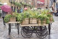London street view with plants on a wooden cart Royalty Free Stock Photo