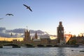 London in sunset with seagulls flying Royalty Free Stock Photo