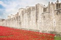 LONDON TOWER - OCTOBER 11 2014. Ceramic poppies installation by