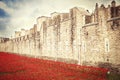 LONDON TOWER - OCTOBER 11 2014. Ceramic poppies installation by