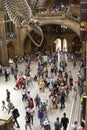 London, U.K. August 22, 2019 - Natural History Museum interior in London. Travel in England Royalty Free Stock Photo