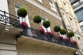 London, U.K. July 23, 2021 - beautiful tree plants on a balcony on Kesington residential luxury proprety in London, UK