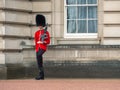 English guard patrolling at Buckingham Palace Royalty Free Stock Photo