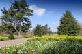 Great Broad Walk Borders with various plants and trees at Kew Gardens, England