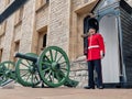 Royal guard soldier of London, stands near gun Royalty Free Stock Photo