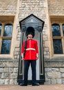 Soldier of the Royal Guard of London, close up Royalty Free Stock Photo