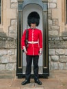 English guard soldier patrolling in London Royalty Free Stock Photo