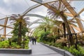 Roof garden at Crossrail Place in Canary Wharf Royalty Free Stock Photo