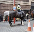 Metropolitan Police Mounted Officers deal with an incident in Central London.