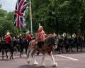 Drum horse with rider, with Household Cavalry behind, taking part in the Trooping the Colour military ceremony, London UK