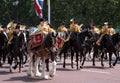 Drum horse with rider, with Household Cavalry behind, taking part in the Trooping the Colour military ceremony, London UK