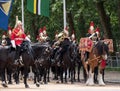 Drum horse with rider, together with Household Cavalry taking part in the Trooping the Colour military ceremony, London UK Royalty Free Stock Photo