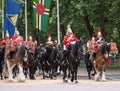 Drum horse with rider, together with Household Cavalry taking part in the Trooping the Colour military ceremony, London UK Royalty Free Stock Photo