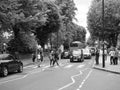 Abbey Road crossing in London black and white