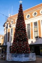 Decorated Christmas Tree To Celebrate The Festive Season