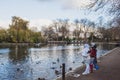 Family feeding birds and ducks in water in Little Venice Royalty Free Stock Photo