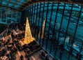 London, UK/Europe; 23/12/2019: Night view of the Sky Garden decorated for Christmas in the 20 Fenchurch Street a.k.a. Walkie- Royalty Free Stock Photo