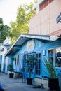 Blue British bookstore with plants outside the windows