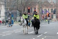 Mounted horse female Police officer on the street near Westminster Abbey, London, UK