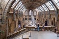 The Hintze Hall at the Natural History Museum in London