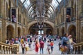 The Hintze Hall at the Natural History Museum in London Royalty Free Stock Photo