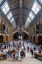 The Hintze Hall at the Natural History Museum in London Royalty Free Stock Photo