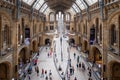 The Hintze Hall at the Natural History Museum in London Royalty Free Stock Photo