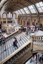 The Hintze Hall at the Natural History Museum in London