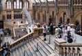 The Hintze Hall at the Natural History Museum in London Royalty Free Stock Photo