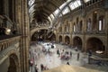 London, UK - July 25, 2017: People visiting the new Hintze hall in the Natural History Museum