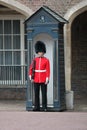 London, UK-July 06, soldier of the royal guard, July 06.2015 in London Royalty Free Stock Photo