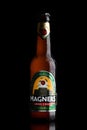 LONDON, UK - JUNE 9, 2017: Bottle Of Magners Original Irish Cider on black.