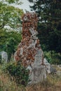 Tombstone covered in dried ivy inside Hampstead Cemetery, London, UK